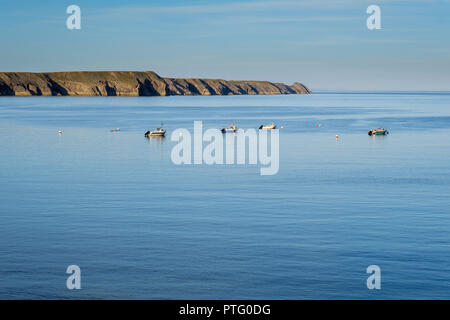 LYDSEP,HAVEN,PEMBROKESHIRE LE PARC NATIONAL. Banque D'Images