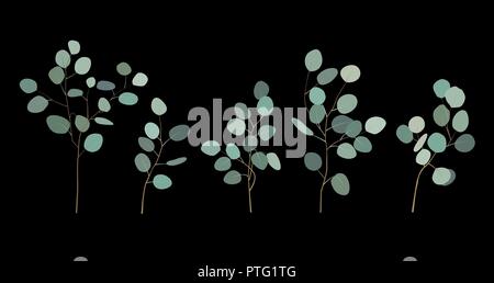 Dollar en argent peint à la main les éléments d'eucalyptus. Illustration floral avec des feuilles rondes et branches isolé sur fond noir. Pour la conception et textil Illustration de Vecteur