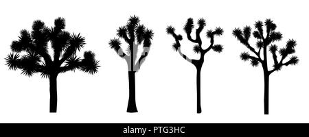 Joshua tree isolé sur fond blanc. Vector collection. Élément Desigh avec Yucca brevifolia silhouette noire. Illustration de Vecteur