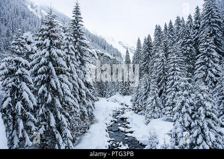 Paysage d'hiver avec des arbres couverts de neige et très belle vue Banque D'Images