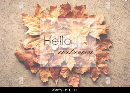 Bonjour érable Feuilles séchées flétri withplace d'arrière-plan pour le texte de l'inscription Banque D'Images