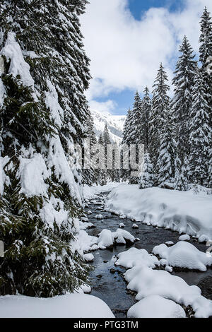 Paysage d'hiver sur journée ensoleillée sur un fond de montagnes, forêt de pins et de neige Banque D'Images