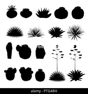 Silhouettes noires de cactus et de l'agave bleu. Jeu de l'illustration. Collection d'éléments de conception vectorielle Illustration de Vecteur