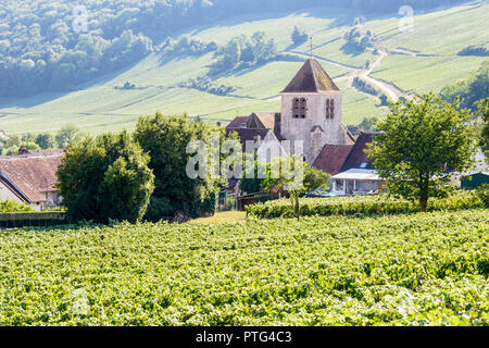 Vue sur le petit village de Nesles-la-Montagne, France, et son clocher médiévale viticole en Champagne avec des rangées de vigne en premier plan. Banque D'Images