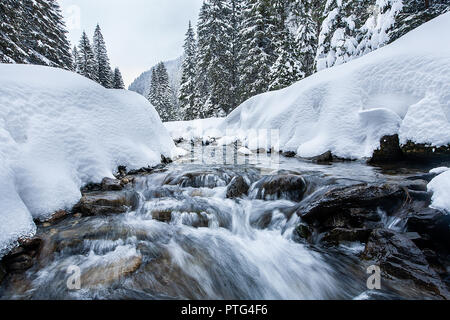 Les rapides de la rivière turbulente dans la forêt pittoresque en hiver. Paysage magique Banque D'Images