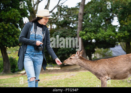 Une femme élégante d'herbe à l'alimentation voyageur mignon brun cerf dans le parc Banque D'Images