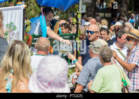 Raisin traditionnel hongrois participant à l'événement à l'automne dans un village Badacsony. 09. 09. 2018 Hongrie Banque D'Images