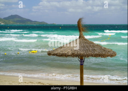 Parapluie de paille sur la plage, Playa de Muro, Alcudia, Mallorca, Espagne Banque D'Images