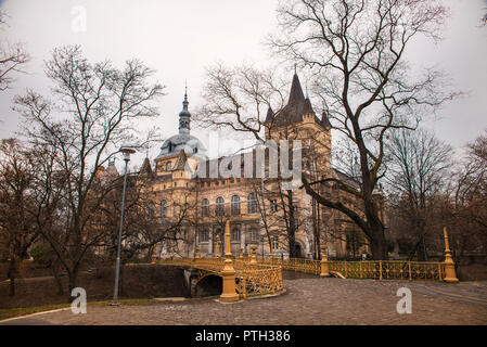 Château Vajdahunyad à Budapest à l'automne Banque D'Images