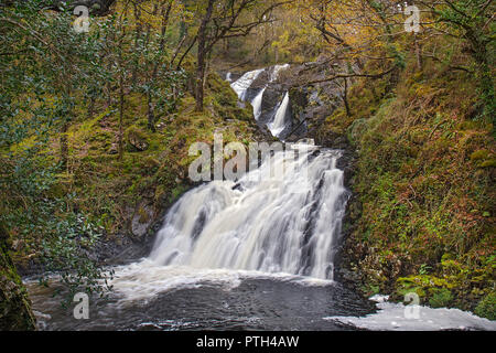 Rhaeadr Ddu ou Noir tombe sur l'Afon (rivière) dans le Ganllwyd Gamlan Coed National Nature Reserve dans le Coed-Y-Brenin forêt près de Ganllwyd Banque D'Images