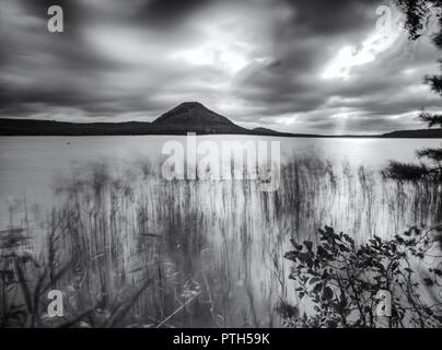 Vue d'automne sur l'étang de bas niveau à forest hill sur l'autre rive. L'atmosphère mélancolique de l'automne. Longue exposition. Photo en noir et blanc. Banque D'Images