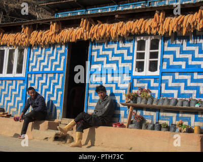 Sandakphu Trekking (Bengale occidental, Inde) Banque D'Images