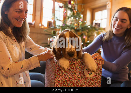 Mère et fille jouer avec chien dans boîte cadeau de Noël Banque D'Images