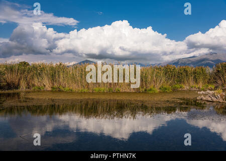 Vue de la rive de l'Mikri Prespa (petites) Lake dans le nord de la Grèce Banque D'Images