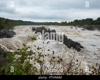 Great Falls à Potomac River après de fortes pluies Banque D'Images