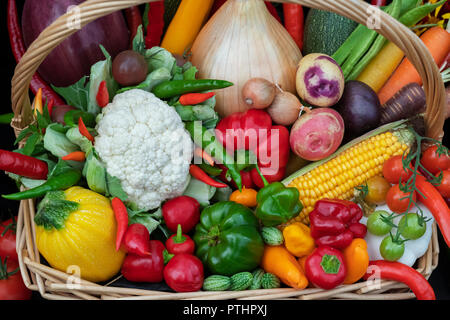 Exposition de légumes automnaux colorés lors d'un spectacle d'automne. ROYAUME-UNI Banque D'Images