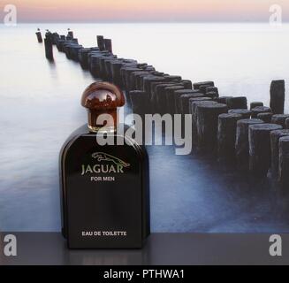 Jaguar for Men, Eau de toilette, un grand flacon de parfum en face de l'image d'un épi dans la mer Banque D'Images