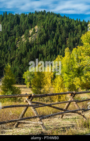 Le paysage autour de Grand Tetons National Park, Wyoming Banque D'Images