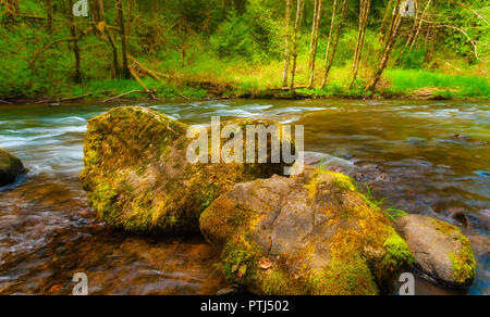 Scoggins Creek est la principale source d'approvisionnement en eau pour Hagg lake. Gros rochers invitent à s'asseoir Banque D'Images