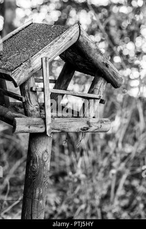 Image en noir et blanc d'un nichoir sur bois au milieu de la nature Banque D'Images