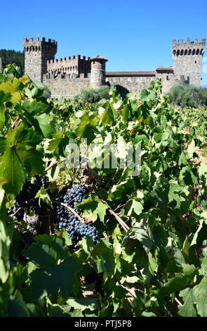 Castello di Amorosa winery à Calistoga, California USA Banque D'Images