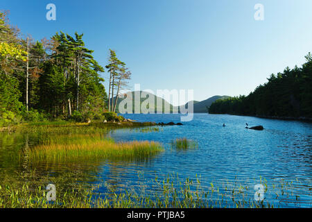 La fin de l'après-midi sur le lac Eagle dans l'Acadia National Park, Maine, USA. Deux hérons peut être vu sur les rochers. Banque D'Images