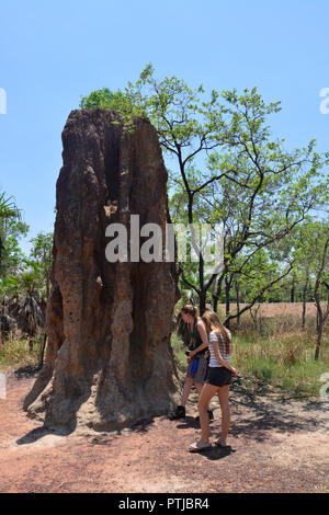 Monticules géants réalisés par les termites de la cathédrale dans le Litchfield National Park, Territoire du Nord, Australie Banque D'Images