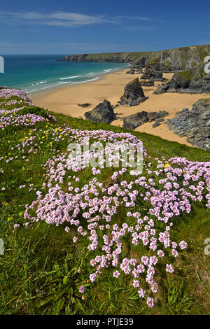 Au-dessus de falaises couvertes d'épargne Bedruthan Steps près de Carnewas sur la côte nord des Cornouailles. Banque D'Images