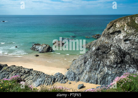 Les rochers escarpés autour de West Pentire sur la côte nord des Cornouailles. Banque D'Images