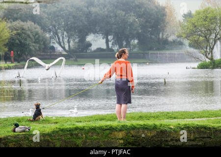 Une femme promener son chien près d'un lac à Newquay en Cornouailles. Banque D'Images