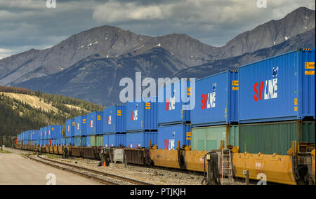 Les wagons de conteneurs sur un long train de marchandises lourdes en marche à travers les montagnes au Canada Banque D'Images