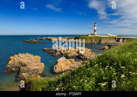 Des pierres à Buchan Ness pointe de rouge et blanc phare à Boddam Aberdeenshire Ecosse UK sur la côte est de la mer du Nord Banque D'Images