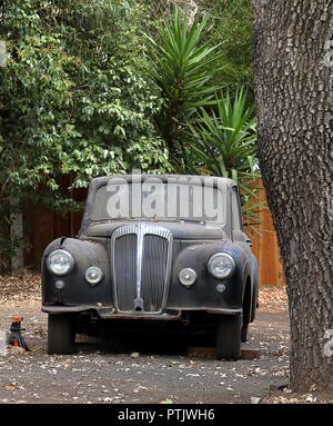 Belmont, Californie - le 3 octobre 2018 : un véhicule classique de rouille sous l'arbre à Belmont, Californie Banque D'Images