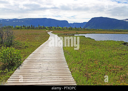 L'étang Western Brook et le parc national du Gros-Morne, à Terre-Neuve, Canada,promenade Sentier et montagnes de table Banque D'Images