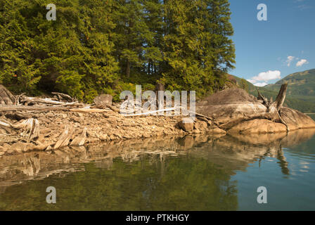 Driftwood a laissé de haut sur la plage rocheuse au moment où l'eau était faible au lac Stave à Mission, en Colombie-Britannique, au Canada Banque D'Images