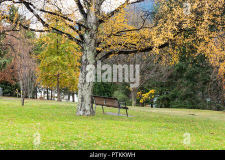 Banc de parc vide, Automne, Jardins de Queenstown NZ Banque D'Images