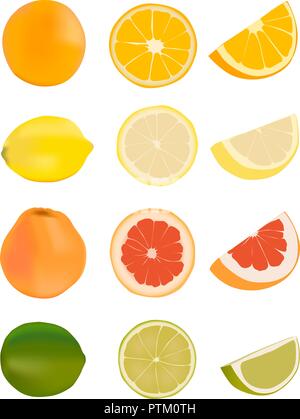 Agrumes Illustration de Vecteur