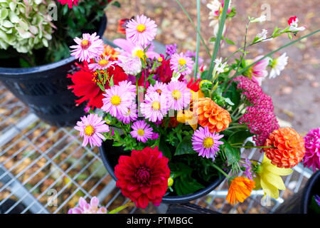 Des fleurs à vendre à l'Évêché de Wells, Somerset, UK Banque D'Images