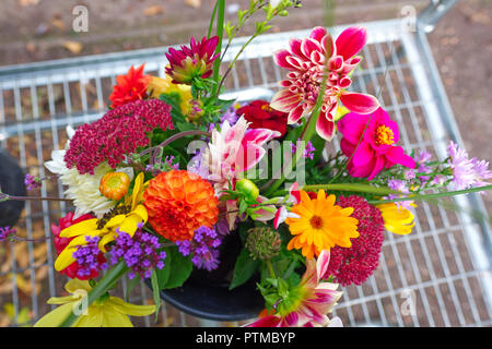 Des fleurs à vendre à l'Évêché de Wells, Somerset, UK Banque D'Images