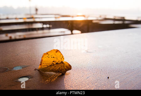 Hanovre, Basse-Saxe. 10 Oct, 2018. Une feuille d'automne se trouve sur une table d'un café en plein air couverte de rosée du matin. Credit : Julian Stratenschulte/dpa/Alamy Live News Banque D'Images