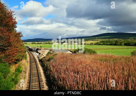 Broomhill, Ecosse, Royaume-Uni. Seul un suivi de la Strathspey Railway épissures à travers la beauté de la bruyère et les Highlands écossais. Banque D'Images