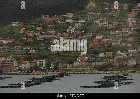 L'aquaculture de crustacés : culture de moules en face de la côte de Cangas do Morrazo. Côte de l'Atlantique. Province de Pontevedra, Galice, Espagne. Banque D'Images