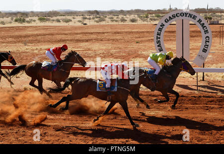 La 97e assemblée annuelle de l'exécution des courses de chevaux de bush à Landor,,1000km au nord de Perth, Australie. Oct 2018. Banque D'Images