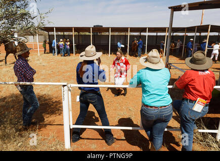 Spectateurs regarder les courses de chevaux à Landor, 1000km au nord de Perth, Australie occidentale. Banque D'Images