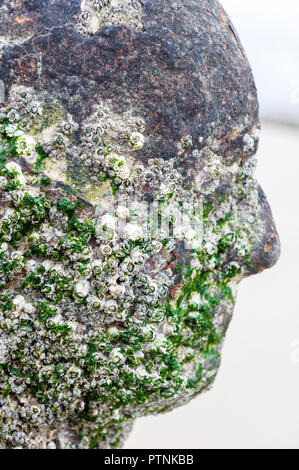 Sir Antony Gormley chiffres en fonte sur Crosby Beach, Liverpool, Royaume-Uni Banque D'Images