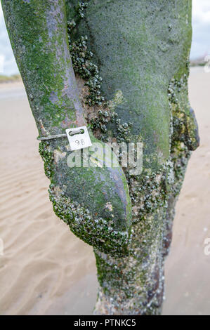 Sir Antony Gormley chiffres en fonte sur Crosby Beach, Liverpool, Royaume-Uni Banque D'Images
