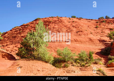 Red Rock Canyon dans l'Utah Banque D'Images