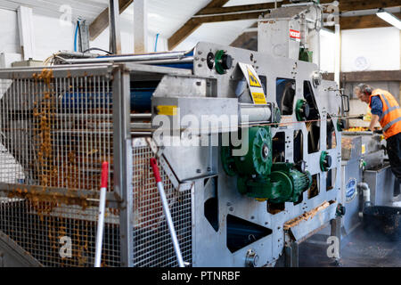 La presse apple modernes utilisés dans le processus de production de Cornish Cyder ou du cidre à la ferme Healeys, Cornwall, UK Banque D'Images