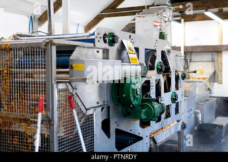 La presse apple modernes utilisés dans le processus de production de Cornish Cyder ou du cidre à la ferme Healeys, Cornwall, UK Banque D'Images