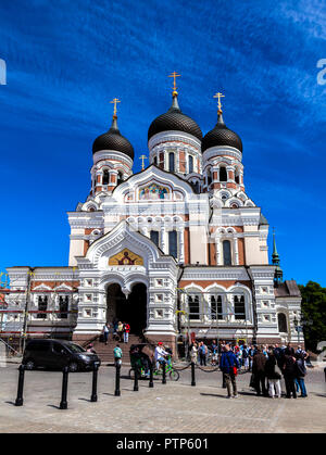 La cathédrale Alexandre Nevski et le plus grandiose du plus grand Tallinn coupole orthodoxe cathédrale dans la vieille ville de Tallinn Estonie Banque D'Images